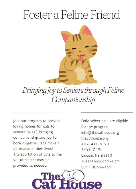 Foster a Feline Friend