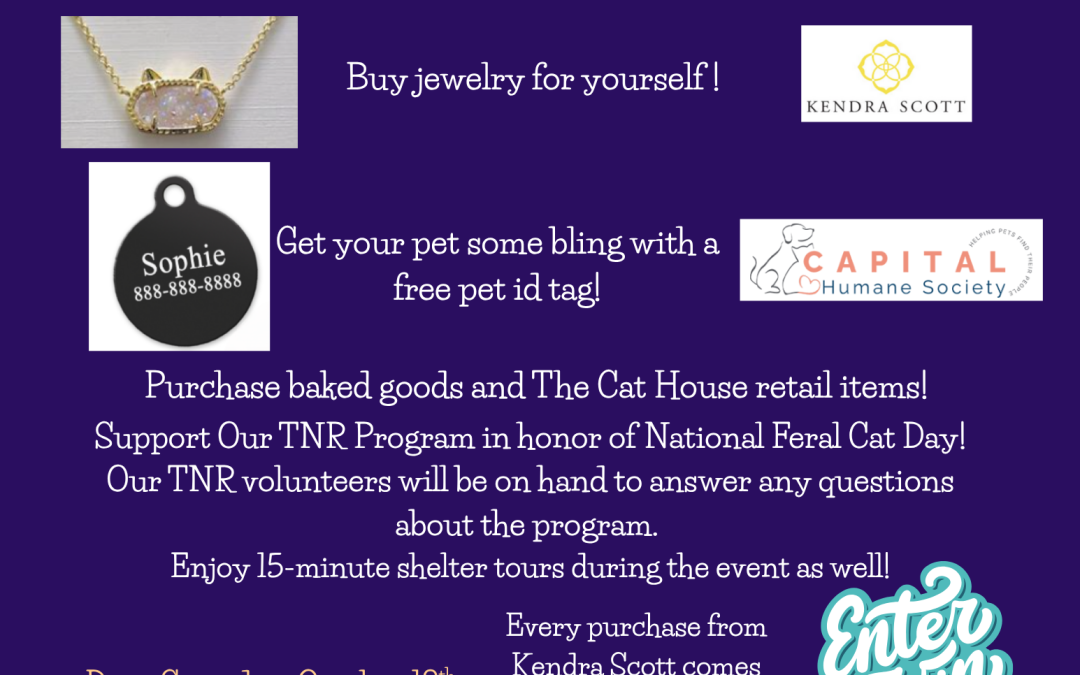 💎✨ Bejeweled to De-jeweled! ✨💎